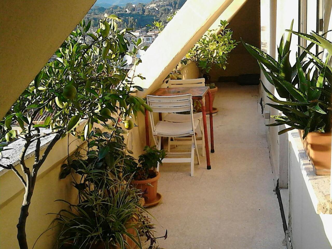 مبيت وإفطار أسكولي بيتشينو A Casa Di Lola المظهر الخارجي الصورة